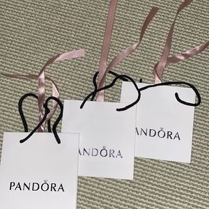 Pandora Jewelry Bags